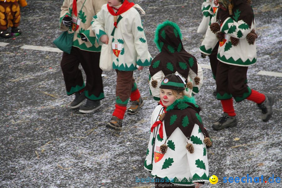 Narrentreffen: Rielasingen am Bodensee, 29.01.2012