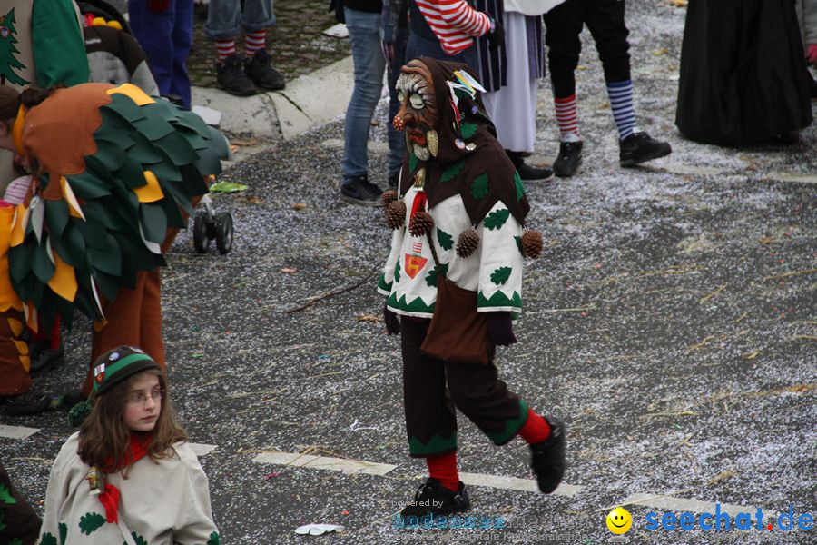 Narrentreffen: Rielasingen am Bodensee, 29.01.2012