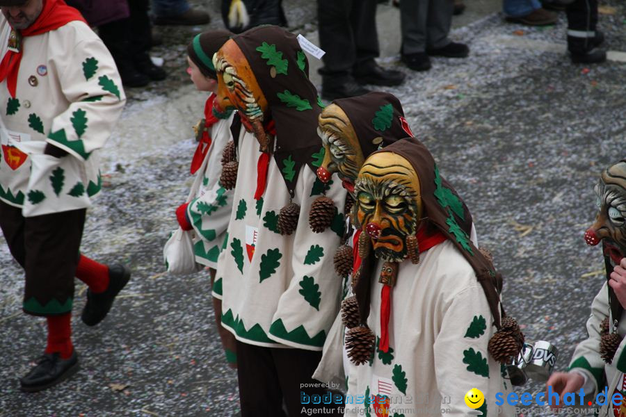 Narrentreffen: Rielasingen am Bodensee, 29.01.2012