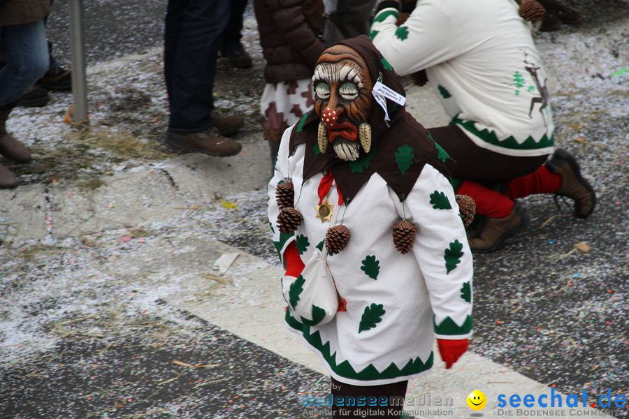 Narrentreffen: Rielasingen am Bodensee, 29.01.2012