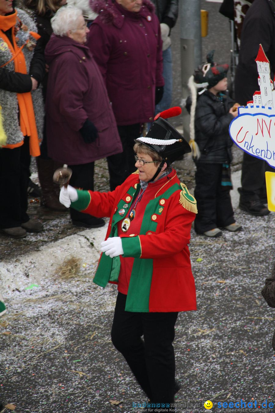 Narrentreffen: Rielasingen am Bodensee, 29.01.2012