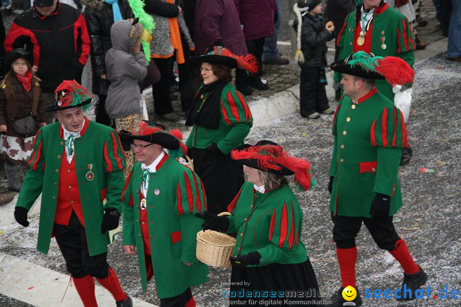 Narrentreffen: Rielasingen am Bodensee, 29.01.2012