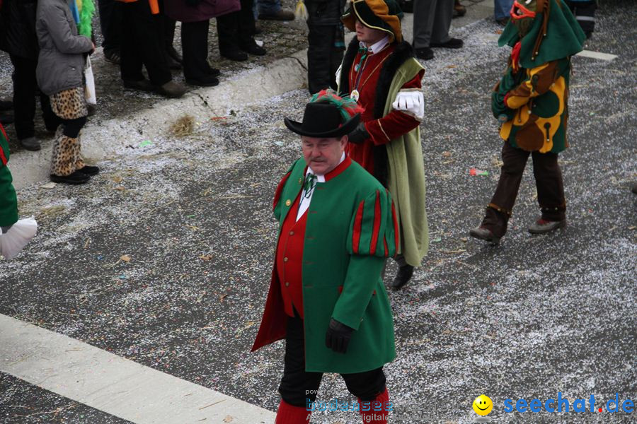 Narrentreffen: Rielasingen am Bodensee, 29.01.2012