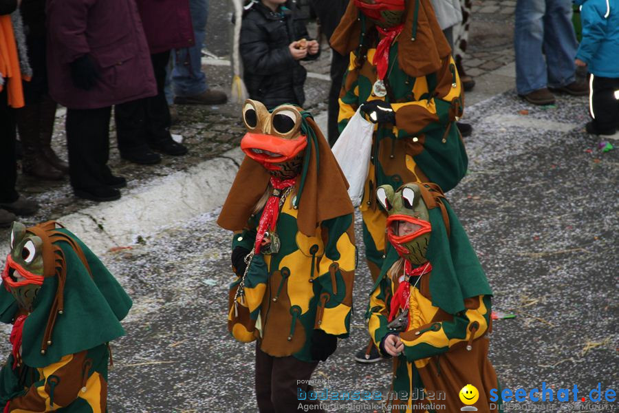 Narrentreffen: Rielasingen am Bodensee, 29.01.2012