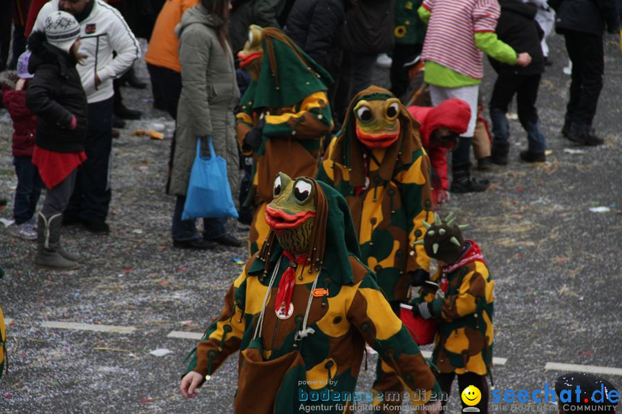 Narrentreffen: Rielasingen am Bodensee, 29.01.2012