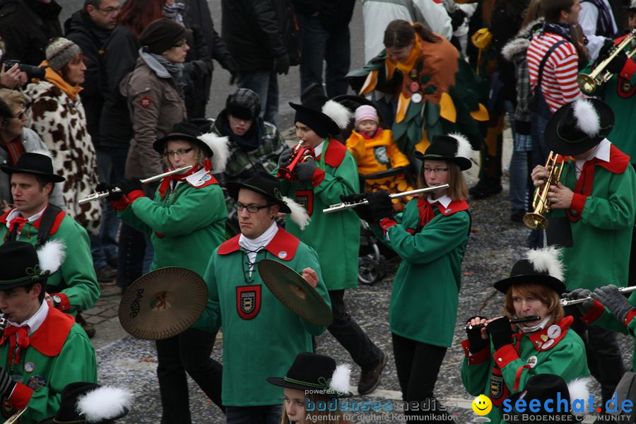 Narrentreffen: Rielasingen am Bodensee, 29.01.2012