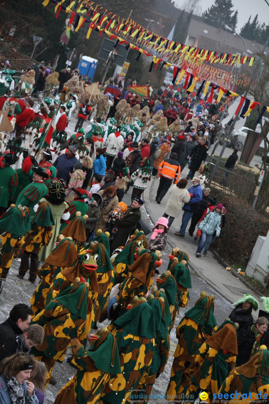 Narrentreffen: Rielasingen am Bodensee, 29.01.2012