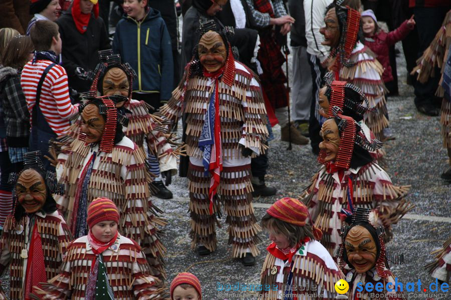 Narrentreffen: Rielasingen am Bodensee, 29.01.2012