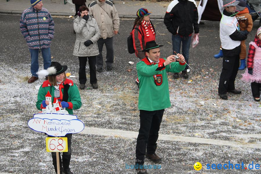 Narrentreffen: Rielasingen am Bodensee, 29.01.2012