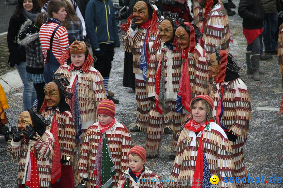 Narrentreffen: Rielasingen am Bodensee, 29.01.2012