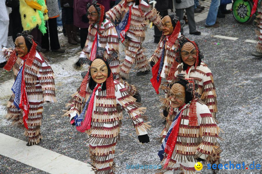 Narrentreffen: Rielasingen am Bodensee, 29.01.2012