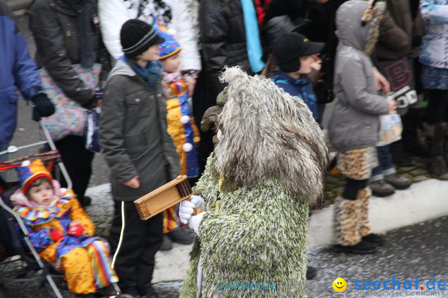 Narrentreffen: Rielasingen am Bodensee, 29.01.2012