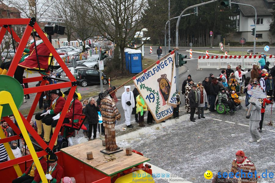 Narrentreffen: Rielasingen am Bodensee, 29.01.2012