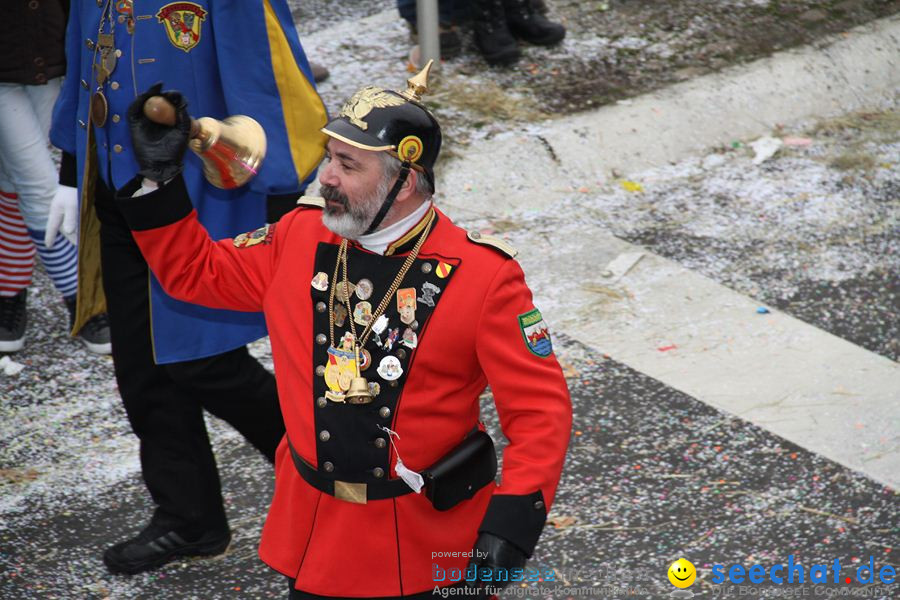 Narrentreffen: Rielasingen am Bodensee, 29.01.2012