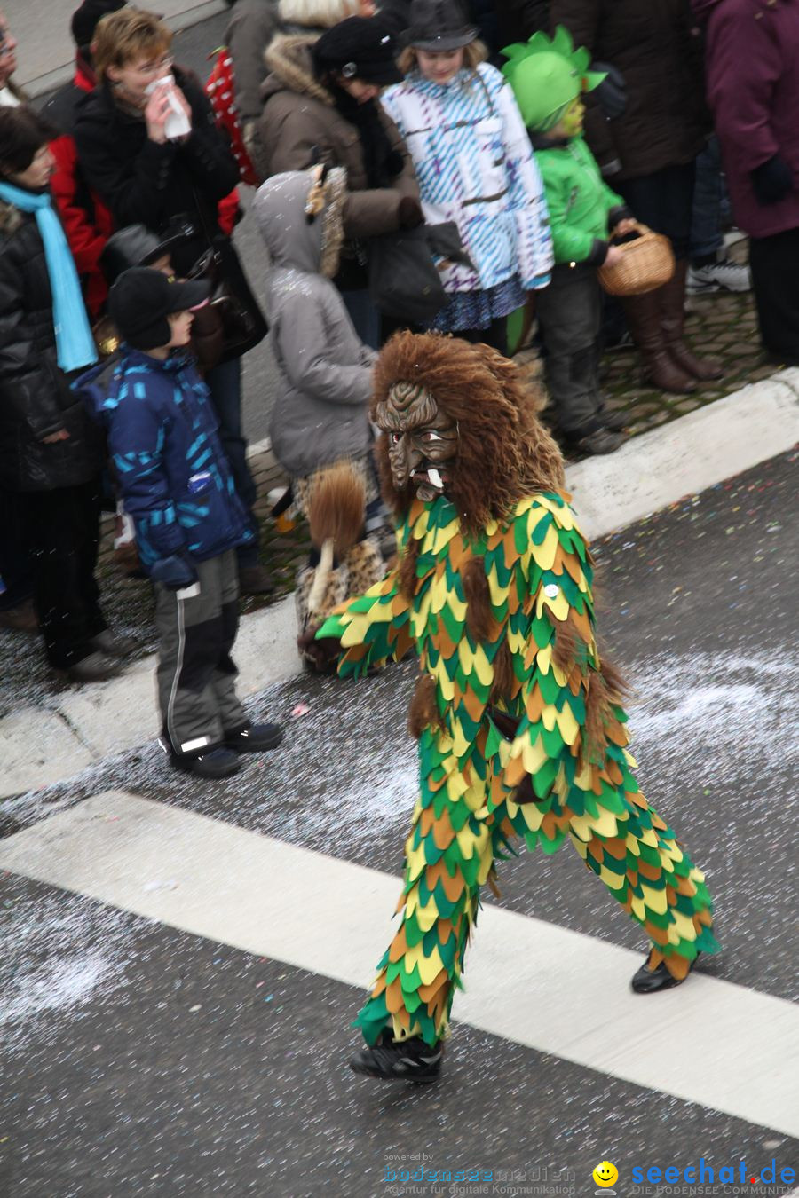 Narrentreffen: Rielasingen am Bodensee, 29.01.2012