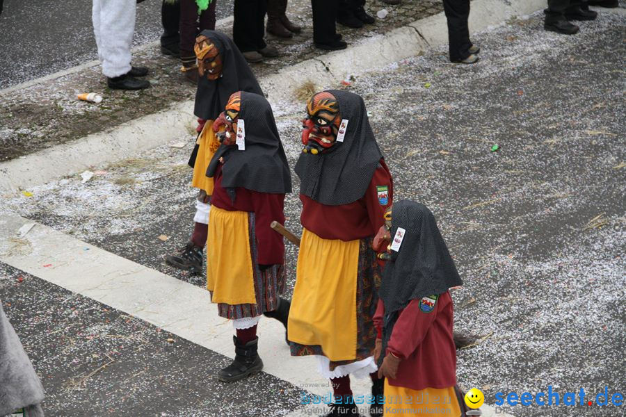 Narrentreffen: Rielasingen am Bodensee, 29.01.2012