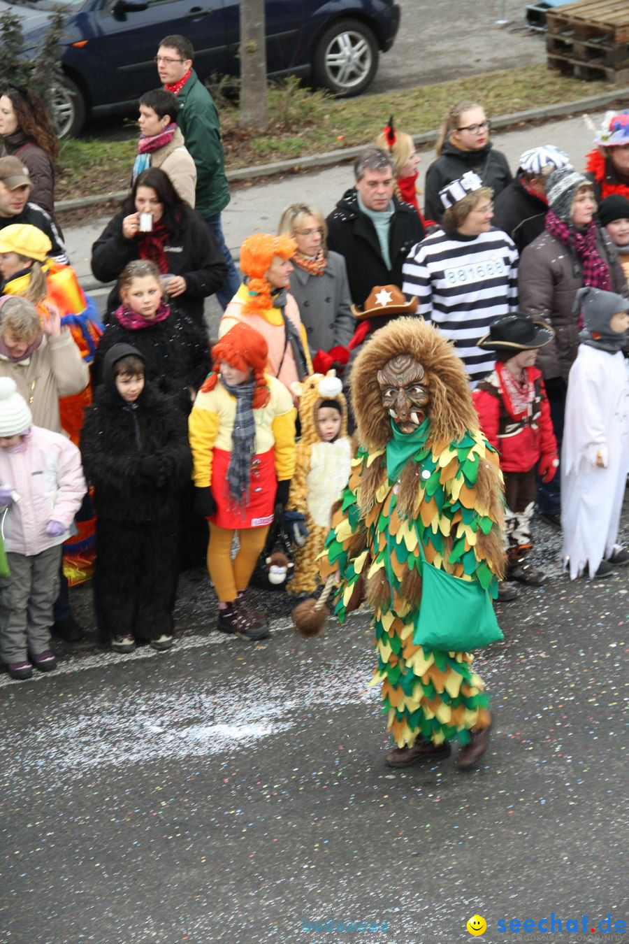 Narrentreffen: Rielasingen am Bodensee, 29.01.2012