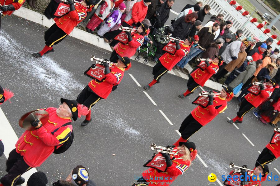 Narrentreffen: Rielasingen am Bodensee, 29.01.2012