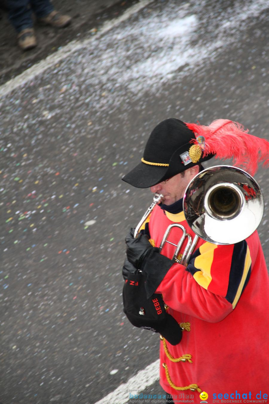 Narrentreffen: Rielasingen am Bodensee, 29.01.2012