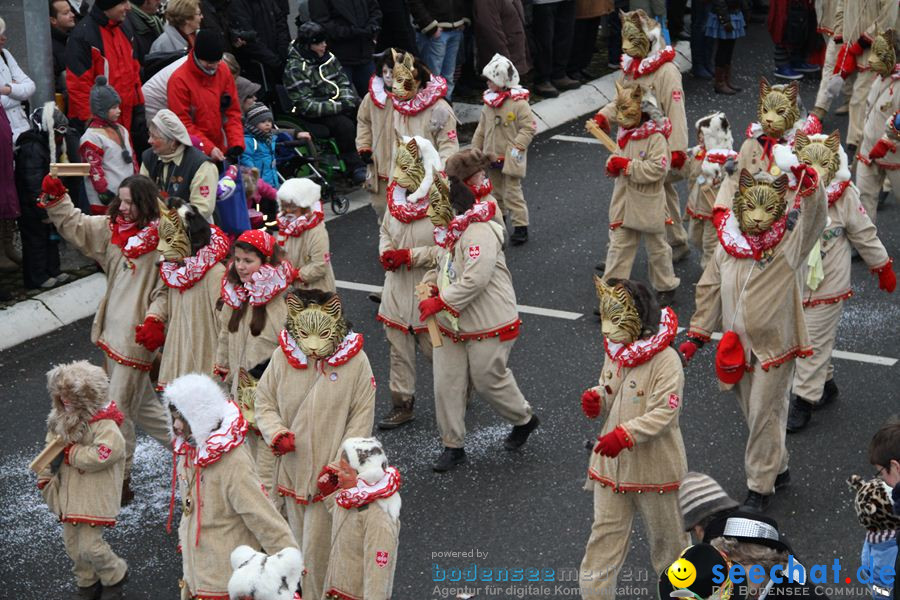 Narrentreffen: Rielasingen am Bodensee, 29.01.2012