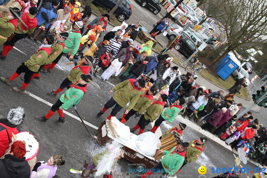 Narrentreffen: Rielasingen am Bodensee, 29.01.2012