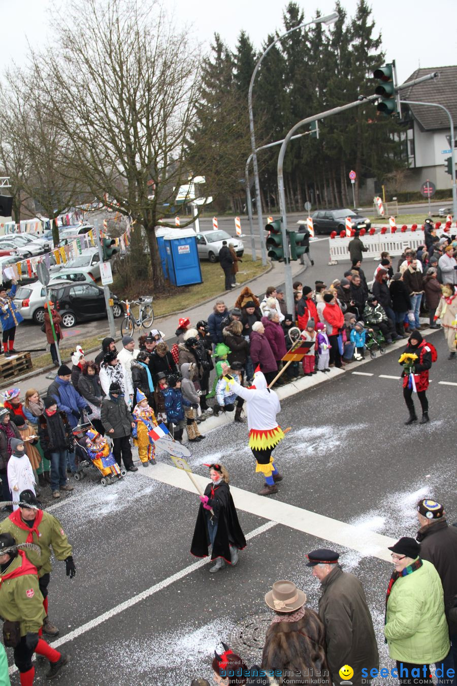 Narrentreffen: Rielasingen am Bodensee, 29.01.2012