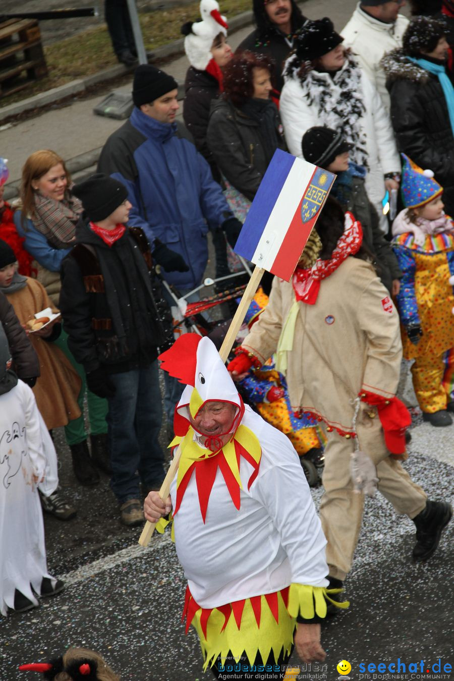 Narrentreffen: Rielasingen am Bodensee, 29.01.2012