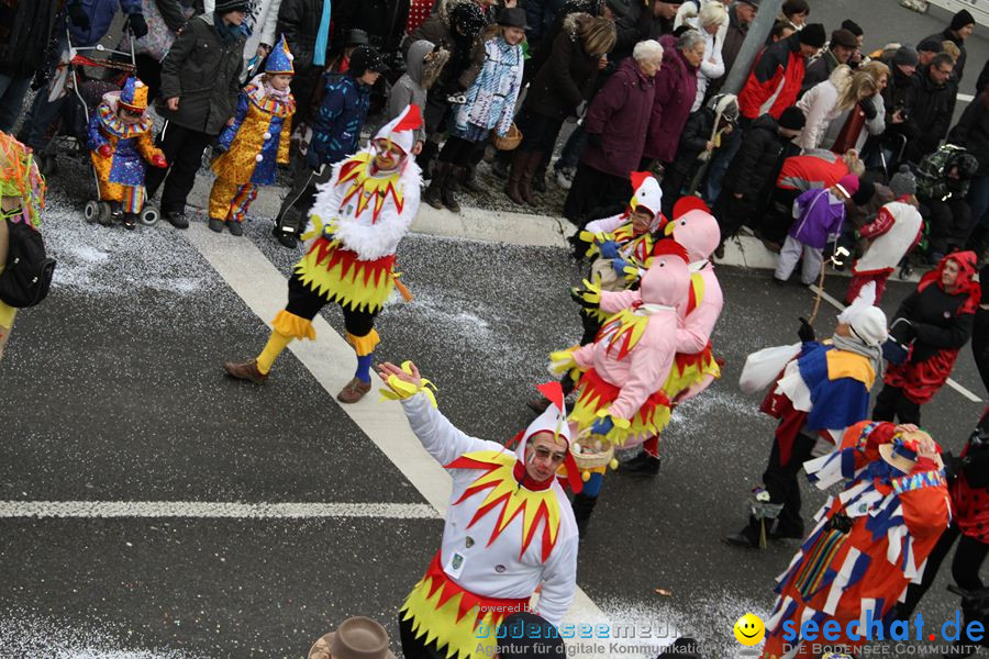 Narrentreffen: Rielasingen am Bodensee, 29.01.2012