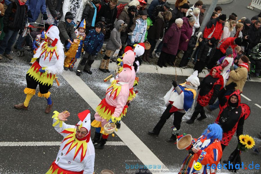 Narrentreffen: Rielasingen am Bodensee, 29.01.2012