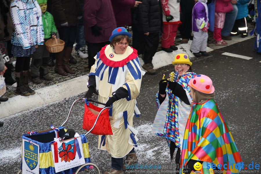 Narrentreffen: Rielasingen am Bodensee, 29.01.2012