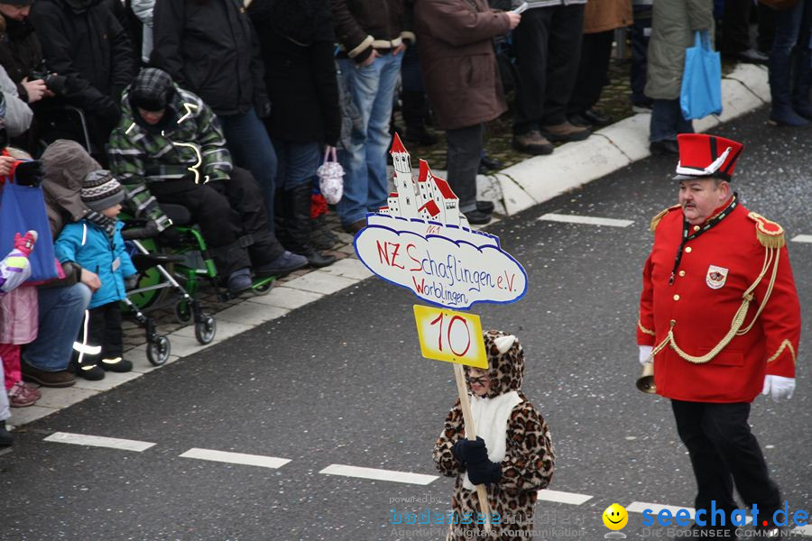 Narrentreffen: Rielasingen am Bodensee, 29.01.2012