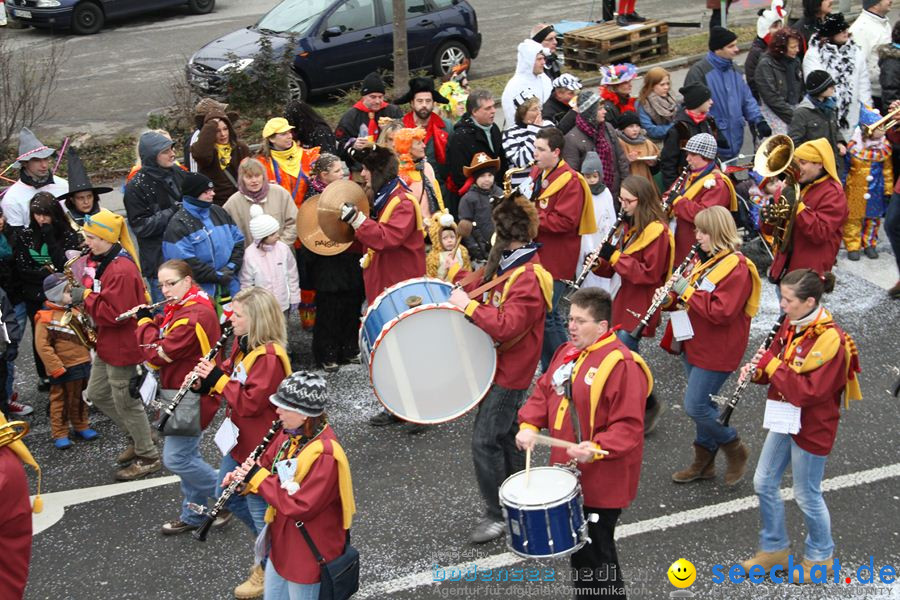 Narrentreffen: Rielasingen am Bodensee, 29.01.2012