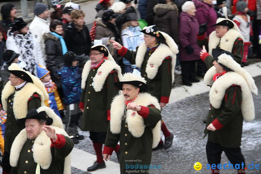 Narrentreffen: Rielasingen am Bodensee, 29.01.2012