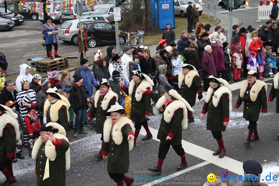 Narrentreffen: Rielasingen am Bodensee, 29.01.2012