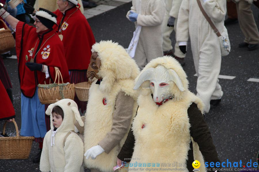 Narrentreffen: Rielasingen am Bodensee, 29.01.2012