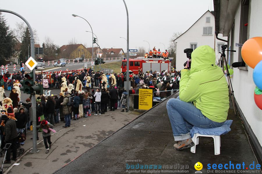 Narrentreffen: Rielasingen am Bodensee, 29.01.2012