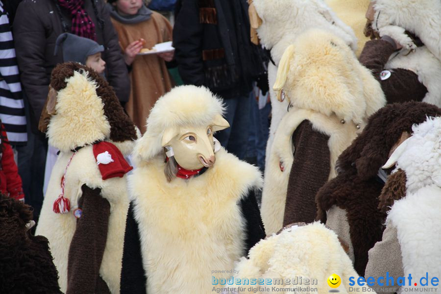 Narrentreffen: Rielasingen am Bodensee, 29.01.2012