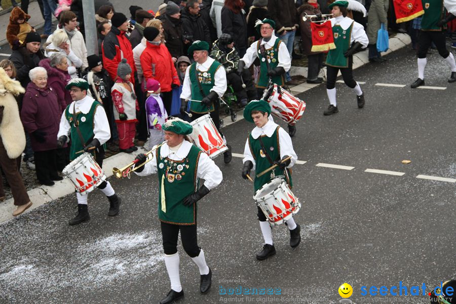 Narrentreffen: Rielasingen am Bodensee, 29.01.2012