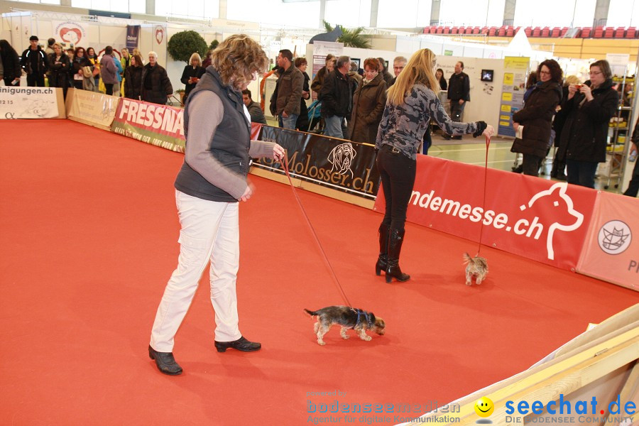 HUND|2012 - Die Schweizer Hundefachmesse in Winterthur, 05.02.2012