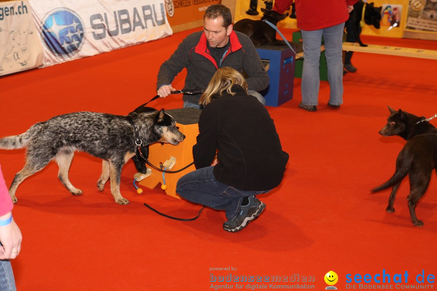 HUND|2012 - Die Schweizer Hundefachmesse in Winterthur, 05.02.2012