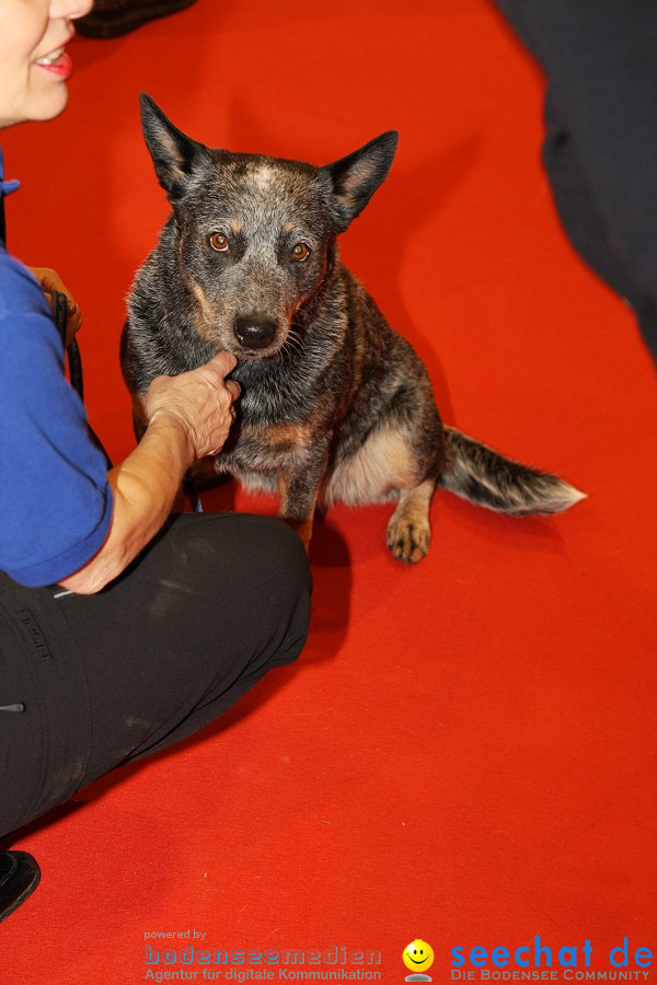 HUND|2012 - Die Schweizer Hundefachmesse in Winterthur, 05.02.2012