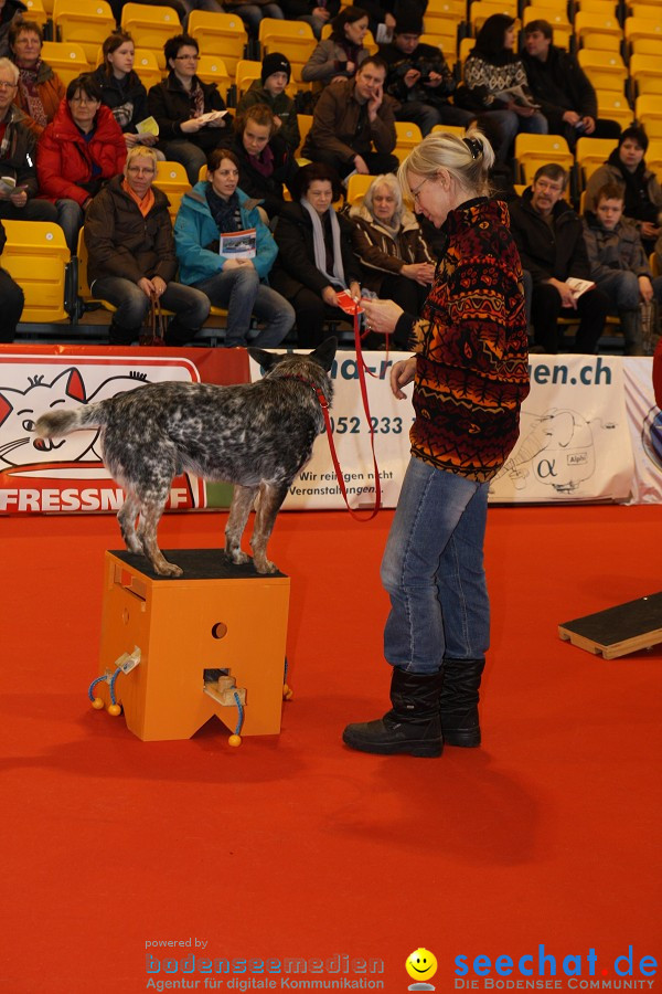 HUND|2012 - Die Schweizer Hundefachmesse in Winterthur, 05.02.2012