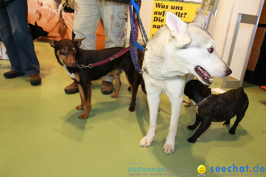 HUND|2012 - Die Schweizer Hundefachmesse in Winterthur, 05.02.2012