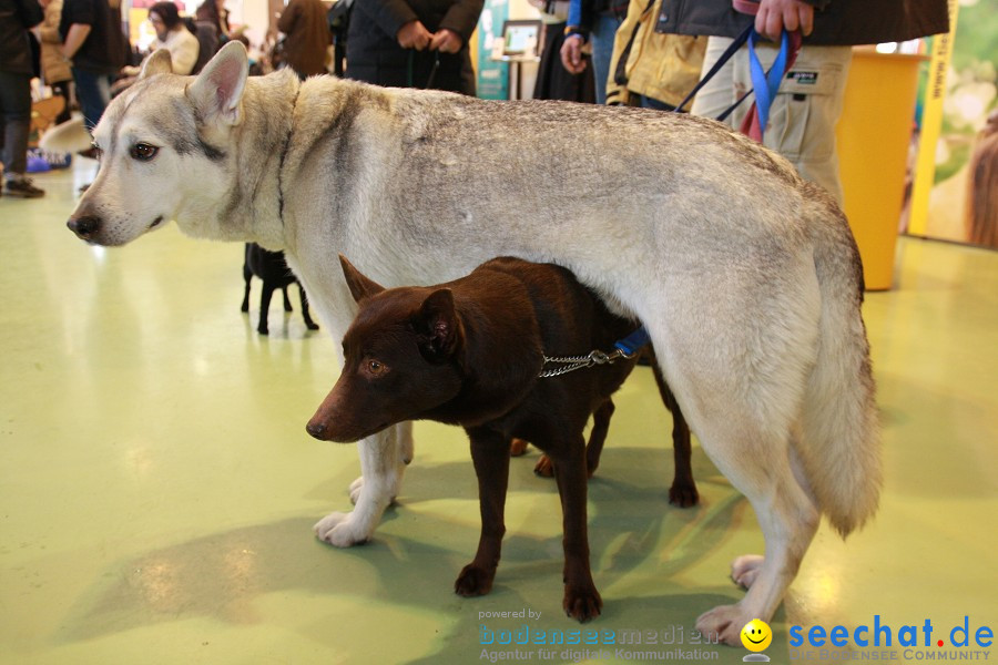 HUND|2012 - Die Schweizer Hundefachmesse in Winterthur, 05.02.2012