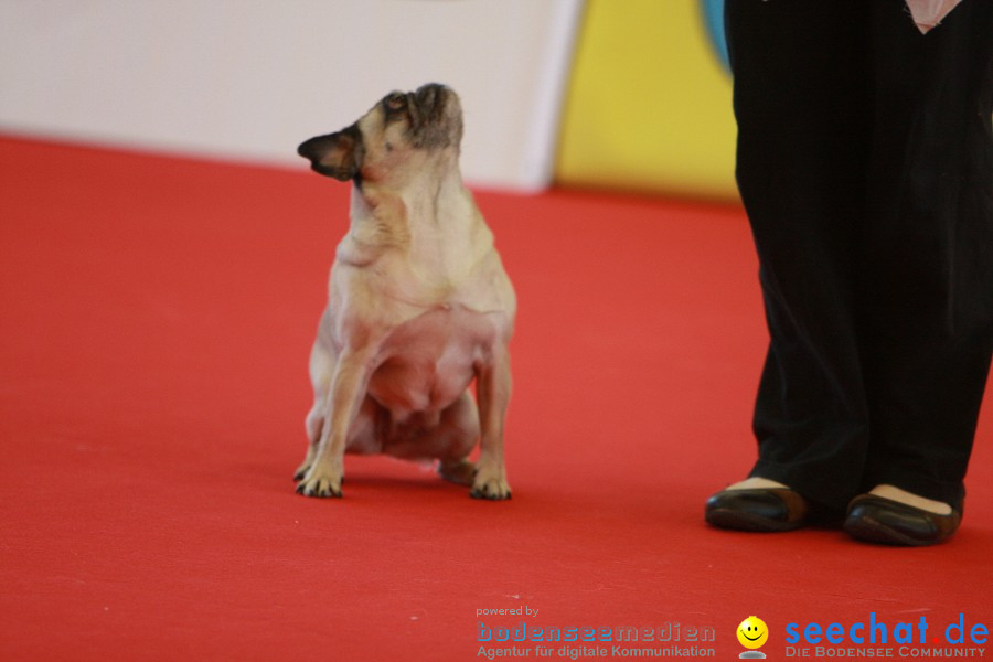 HUND|2012 - Die Schweizer Hundefachmesse in Winterthur, 05.02.2012