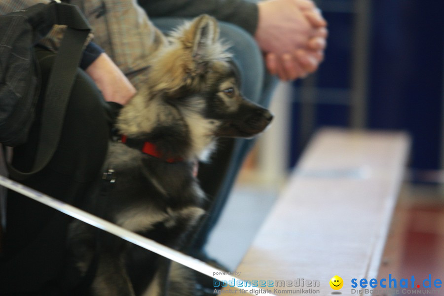 HUND|2012 - Die Schweizer Hundefachmesse in Winterthur, 05.02.2012