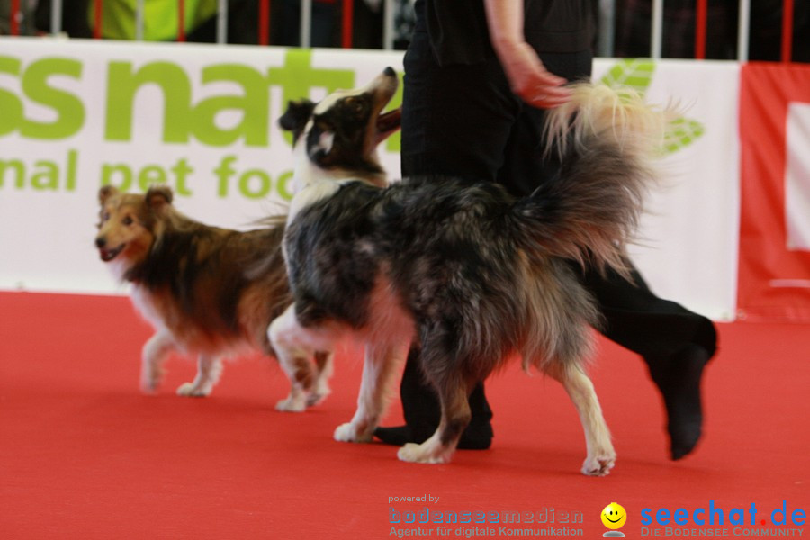 HUND|2012 - Die Schweizer Hundefachmesse in Winterthur, 05.02.2012