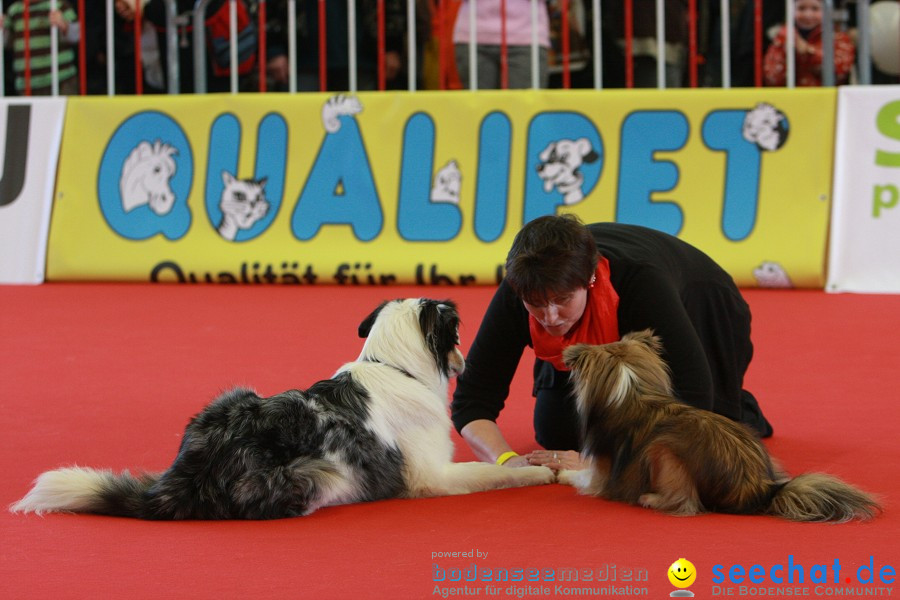 HUND|2012 - Die Schweizer Hundefachmesse in Winterthur, 05.02.2012