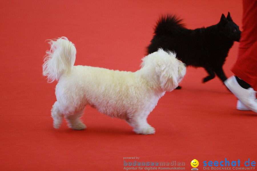 HUND|2012 - Die Schweizer Hundefachmesse in Winterthur, 05.02.2012