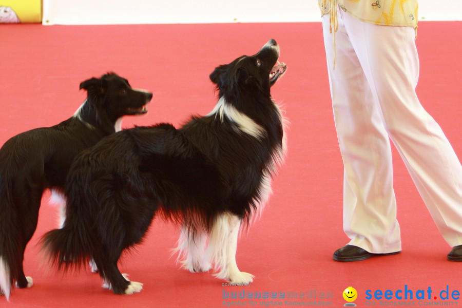 HUND|2012 - Die Schweizer Hundefachmesse in Winterthur, 05.02.2012